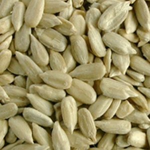 זרעי חמניה ללא קליפה לנבטוטים - אקו סטור